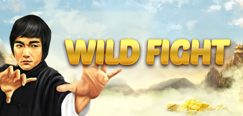 เกมสล็อตออนไลน์ Wild Fight สวมวิญญาณบรู๊ซลี แล้วเตะให้โบนัสแตก | Sexybaccarat.com